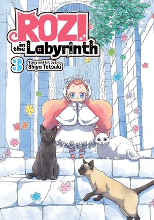 Rozi in the Labyrinth, Vol. 3 by Shiya Totsuki