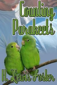 Counting Parakeets by H. Lewis-Foster, H. Lewis-Foster