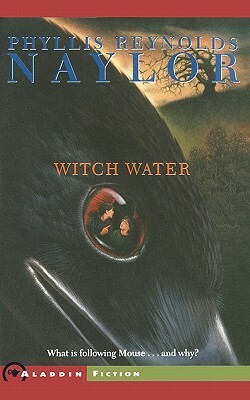 Witch Water by Phyllis Reynolds Naylor, Gail Owens, Ken McMillan