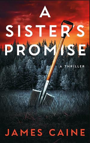 A Sisters Promise  by James Caine