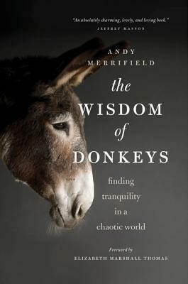 The Wisdom of Donkeys: Finding Tranquility in a Chaotic World by Andy Merrifield