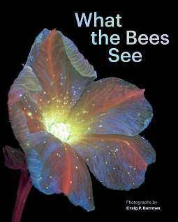 What the Bees See by Craig P. Burrows