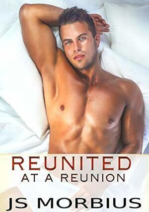 Reunited at a Reunion by J.S. Morbius