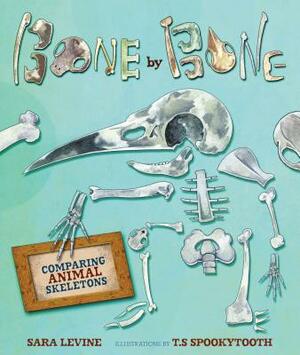 Bone by Bone: Comparing Animal Skeletons by Sara Levine