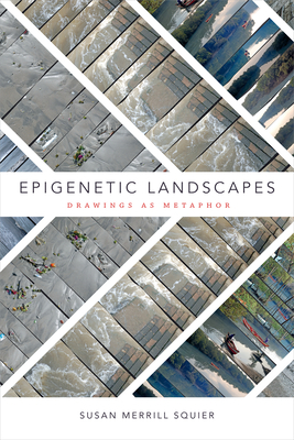 Epigenetic Landscapes: Drawings as Metaphor by Susan Merrill Squier