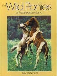 The Wild Ponies of Assateague Island by Donna K. Grosvenor