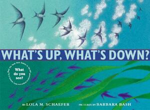 What's Up, What's Down? by Lola M. Schaefer