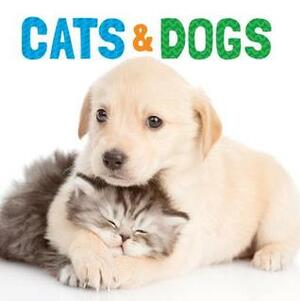 Cats & Dogs by Flowerpot Press