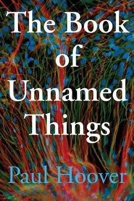 The Book of Unnamed Things by Paul Hoover