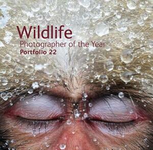 Wildlife Photographer of the Year: Portfolio 22 by 