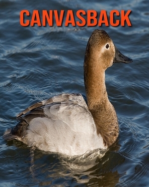 Canvasback: Learn About Canvasback and Enjoy Colorful Pictures by Diane Jackson