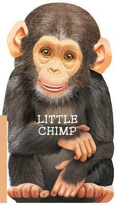 Little Chimp by 