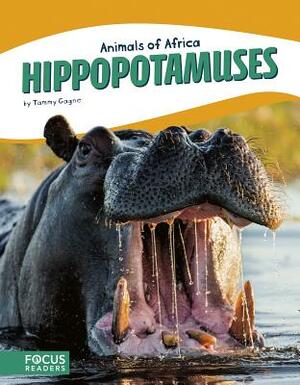 Hippopotamuses by Tammy Gagne