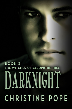 Darknight by Christine Pope