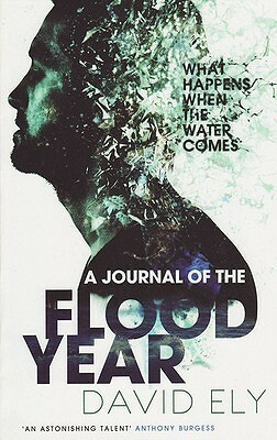 A Journal of the Flood Year by David Ely