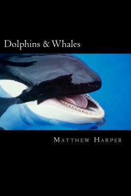 Dolphins & Whales: A Fascinating Book Containing Dolphin & Whale Facts, Trivia, Images & Memory Recall Quiz: Suitable for Adults & Childr by Matthew Harper