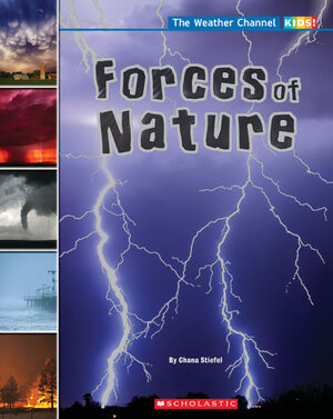 Forces Of Nature by Chana Stiefel