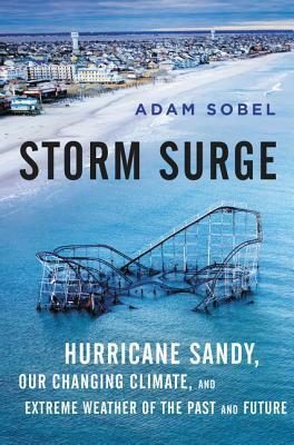 Storm Surge: Hurricane Sandy, Our Changing Climate, and Extreme Weather of the Past and Future by Adam Sobel