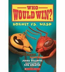 Who Would Win? Hornet vs. Wasp by Rob Bolster, Jerry Pallotta