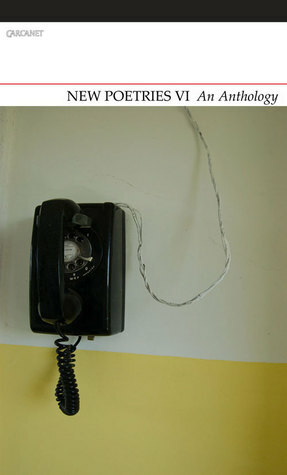 New Poetries VI: An Anthology by Helen Tookey, Michael Schmidt