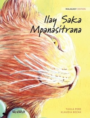 Ilay Saka Mpanasitrana: Malagasy Edition of The Healer Cat by Tuula Pere