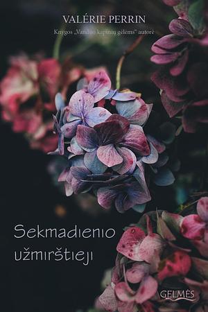 Sekmadienio užmirštieji by Valérie Perrin