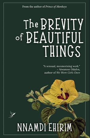 The Brevity of Beautiful Things  by Nnamdi Ehirim