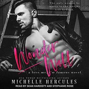 Wonderwall by Michelle Hercules