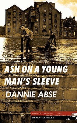 Ash on a Young Man's Sleeve by Dannie Abse
