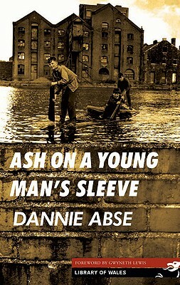 Ash on a Young Man's Sleeve by Dannie Abse