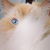 baadumching's profile picture