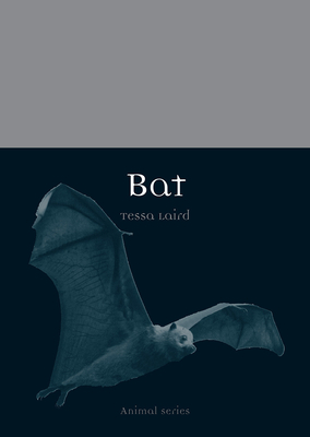 Bat by Tessa Laird