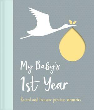 My Baby's 1st Year by Igloobooks