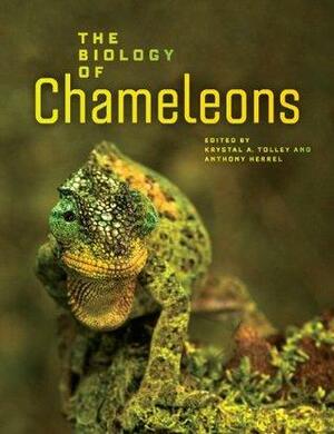 The Biology of Chameleons by Anthony Herrel, Krystal A. Tolley