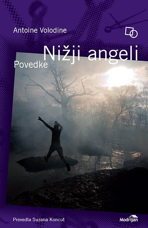 Nižji angeli: Povedke by Antoine Volodine