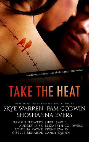 Take the Heat: A Criminal Romance Anthology by Shoshanna Evers, Skye Warren, Pam Godwin