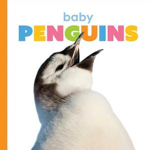 Baby Penguins by Kate Riggs