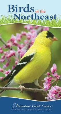 Birds of the Northeast: Your Way to Easily Identify Backyard Birds by Stan Tekiela