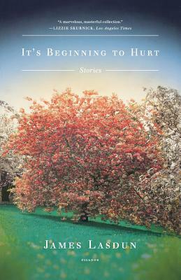 It's Beginning to Hurt by James Lasdun