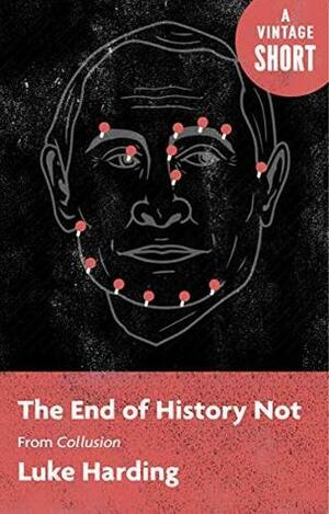 The End of History Not: from Collusion by Luke Harding