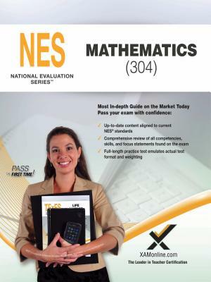 2017 NES Mathematics (304) by Sharon A. Wynne