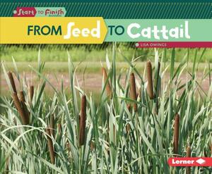 From Seed to Cattail by Lisa Owings