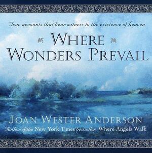 Where Wonders Prevail by Joan Wester Anderson