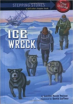 Ice Wreck by Lucille Recht Penner