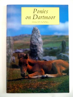 Ponies on Dartmoor by Felicity Young