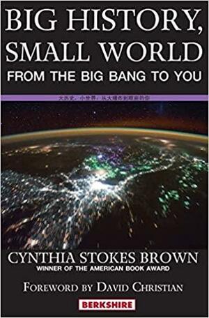 Big History, Small World: From the Big Bang to You by Cynthia Stokes Brown