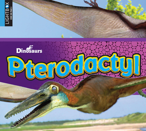 Pterodactyl by Aaron Carr