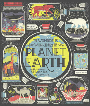 The Wondrous Workings of Planet Earth: Understanding Our World and Its Ecosystems by Rachel Ignotofsky