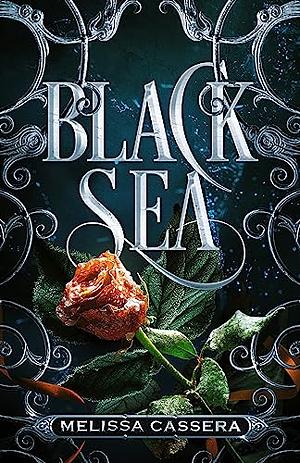 Black Sea by Melissa Cassera