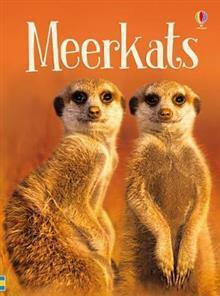 Meerkats by James MacLaine
